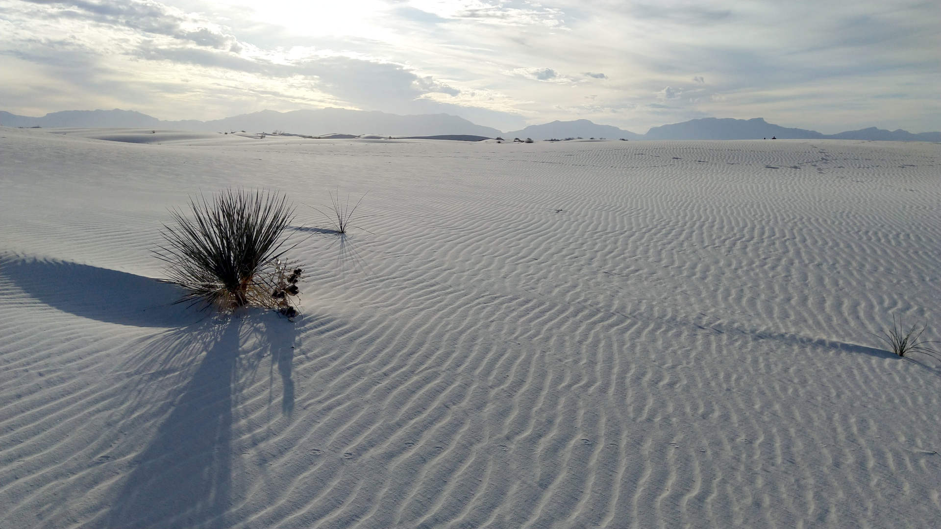 White Sands National Park in New Mexico (USA)